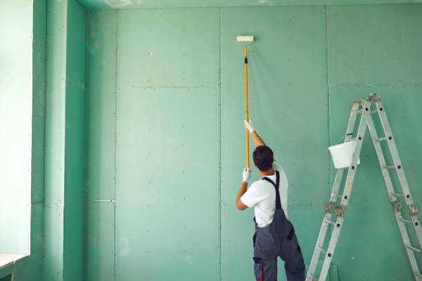 Mold Documentation for Insurance Claims in Cando, ND