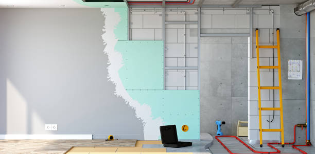 Best Real Estate Mold Inspection  in Cao, ND