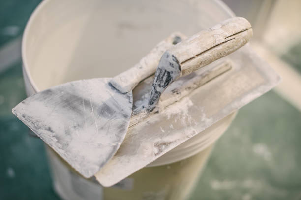 Best Mold Remediation for Healthcare Facilities  in Cao, ND