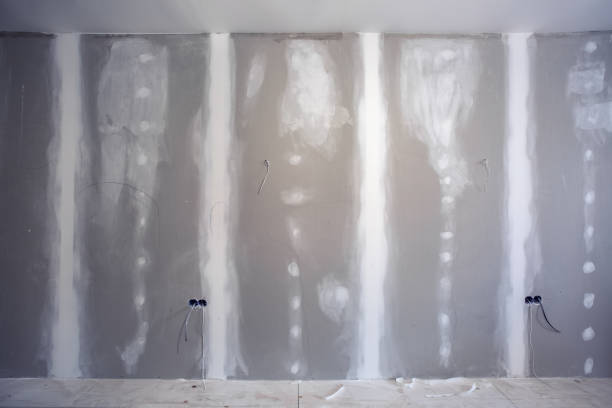 Best Basement Mold Removal  in Cao, ND